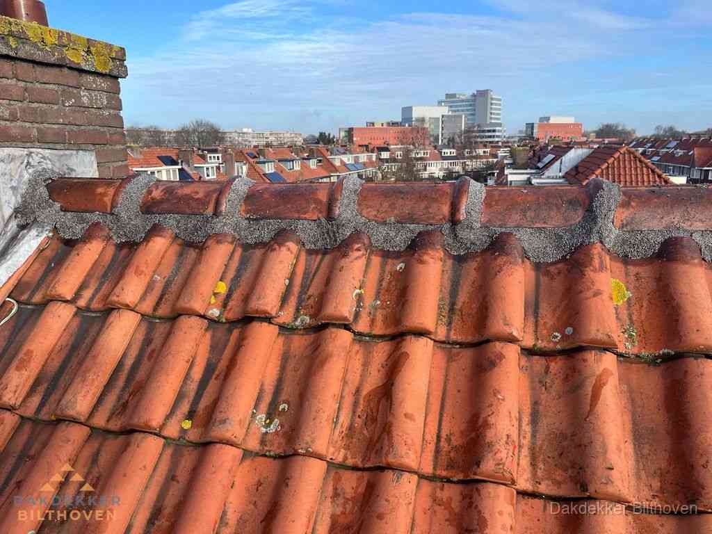 Nieuw bitumen plat dak met uitzicht over woonwijk in Bilthoven