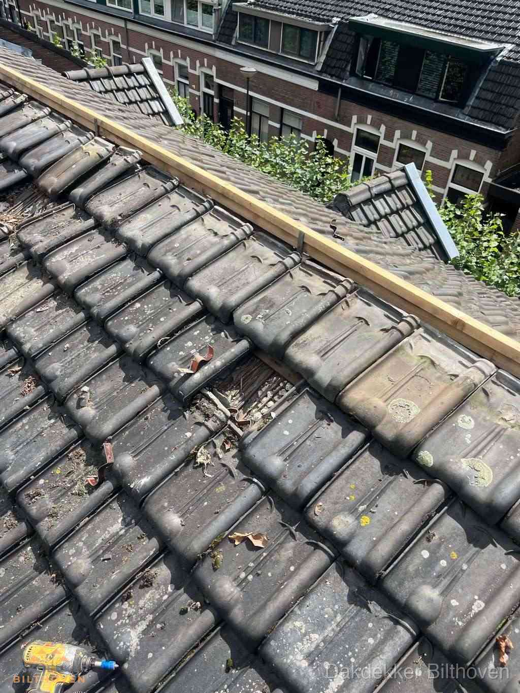 Dakonderhoud aan schuin pannendak met nokvernieuwing in Bilthoven