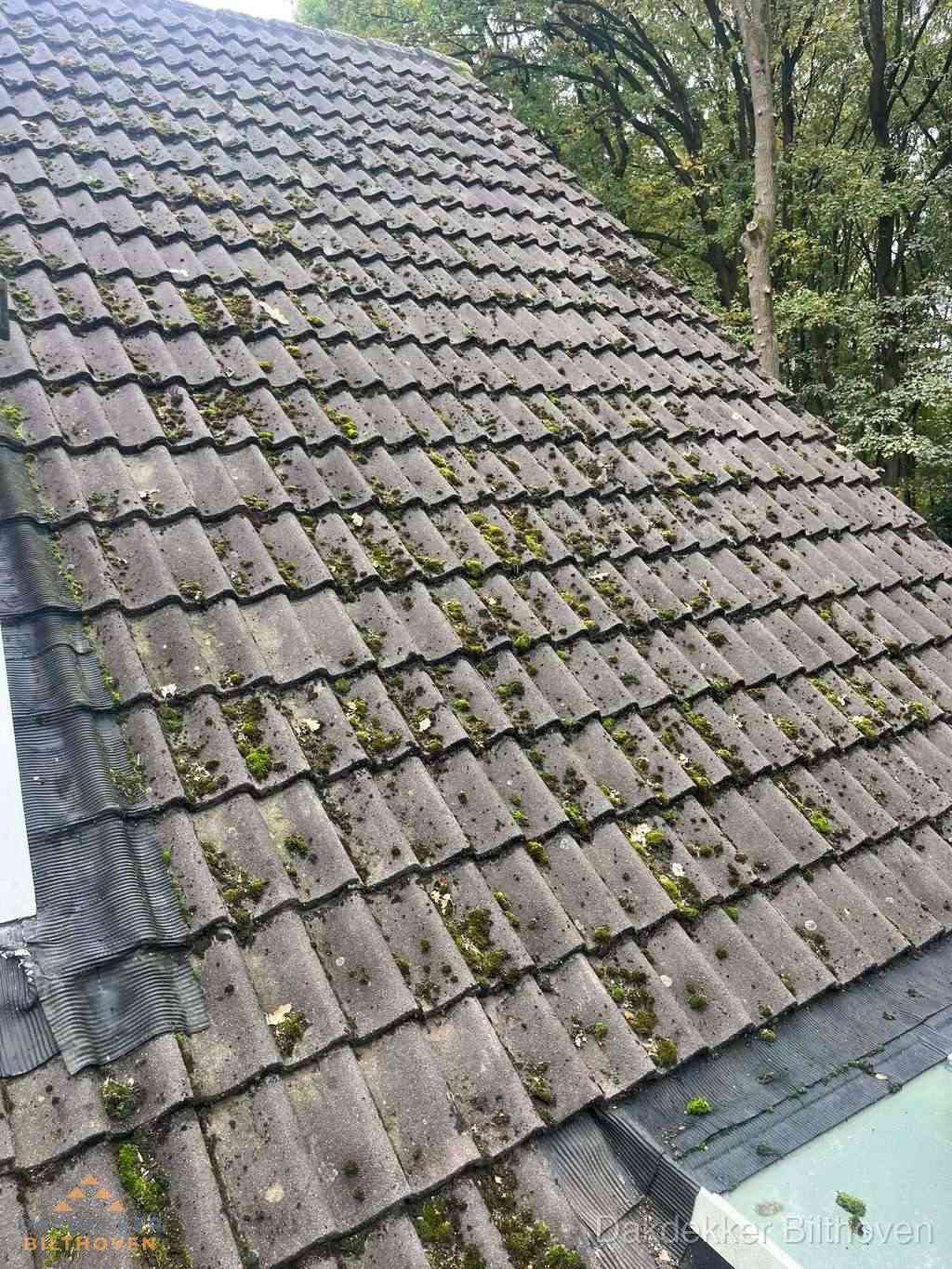Verweerd pannendak met mosgroei dat renovatie nodig heeft in Bilthoven