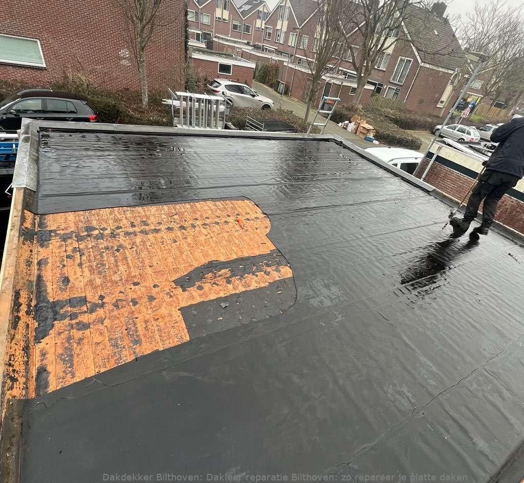 Dakleer Reparatie Bilthoven