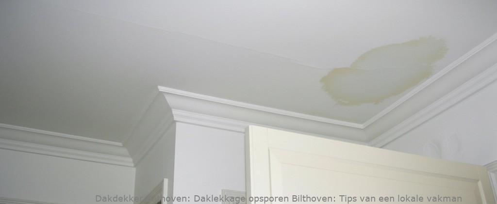 Daklekkage Opsporen Bilthoven 1