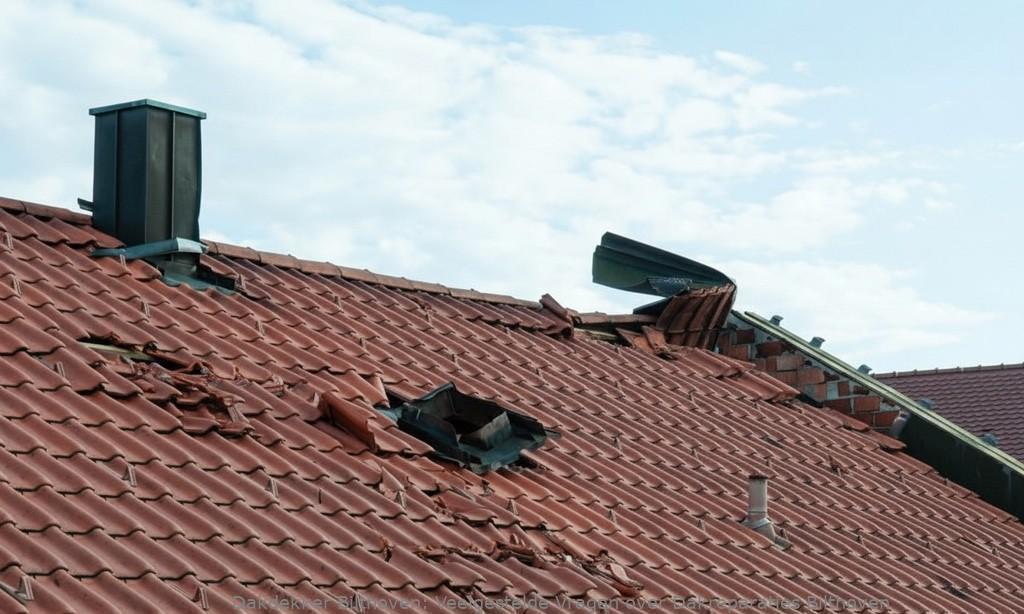 Dakreparaties Bilthoven