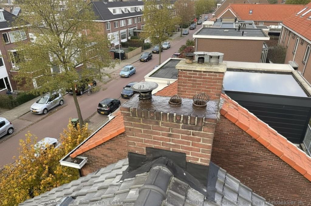Lekkage Aan De Schoorsteen Bilthoven